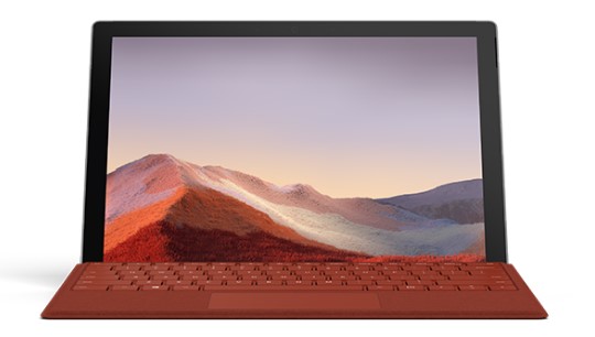 南皮清洁和维护 Surface